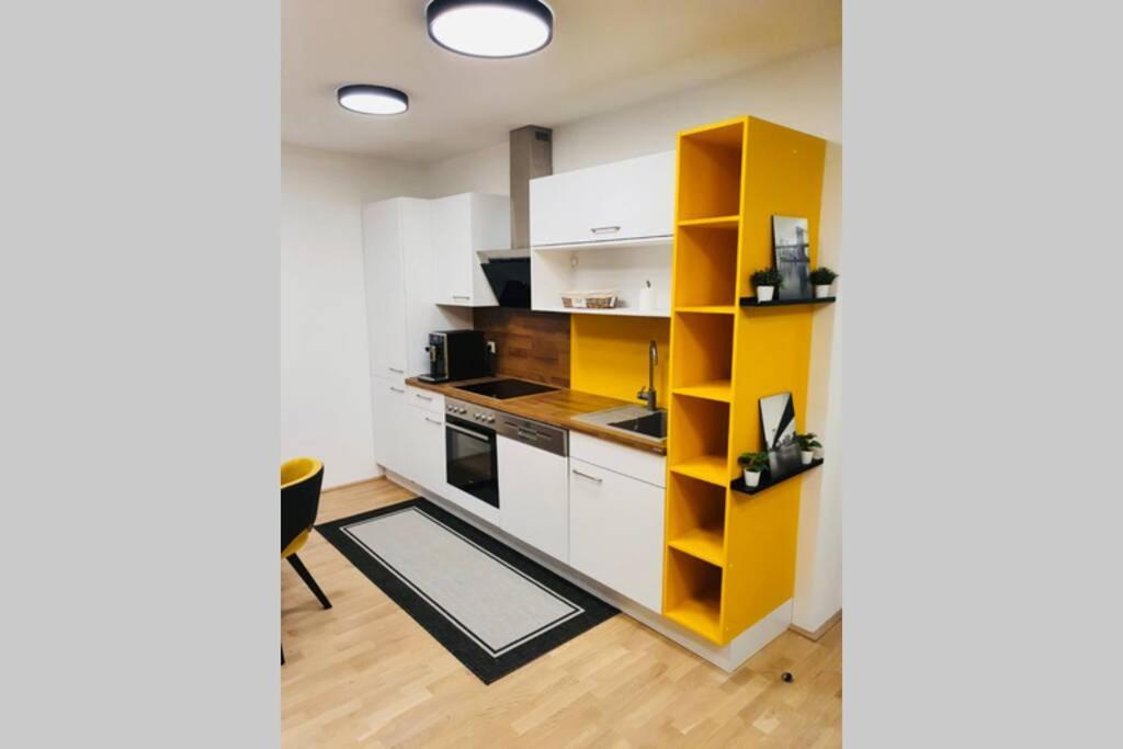 Leon Apartment Neu! Gemuetlichkeit An Erster Stelle Linz Exterior foto